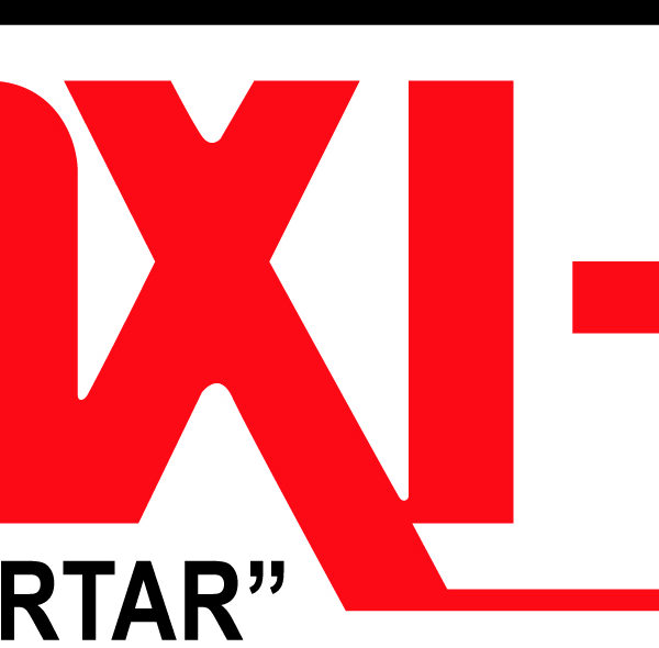 Maxi Mix Logo